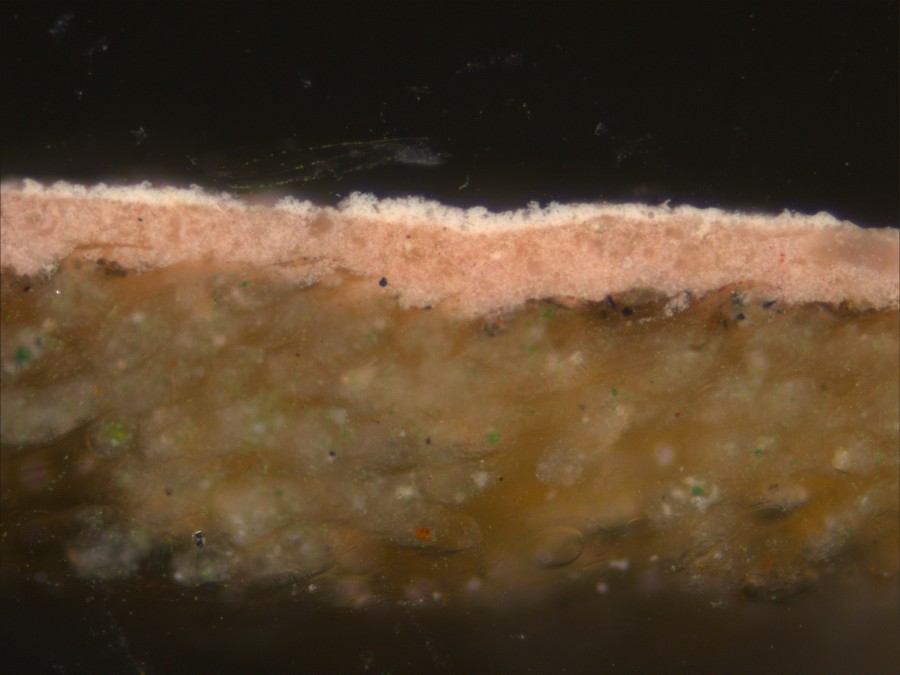 White sample in daylight filtered for tungsten, 200x magnification