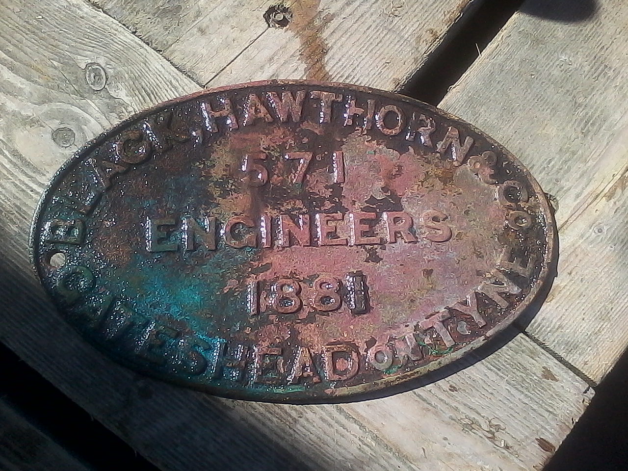black hawthorn & Co 571 1881