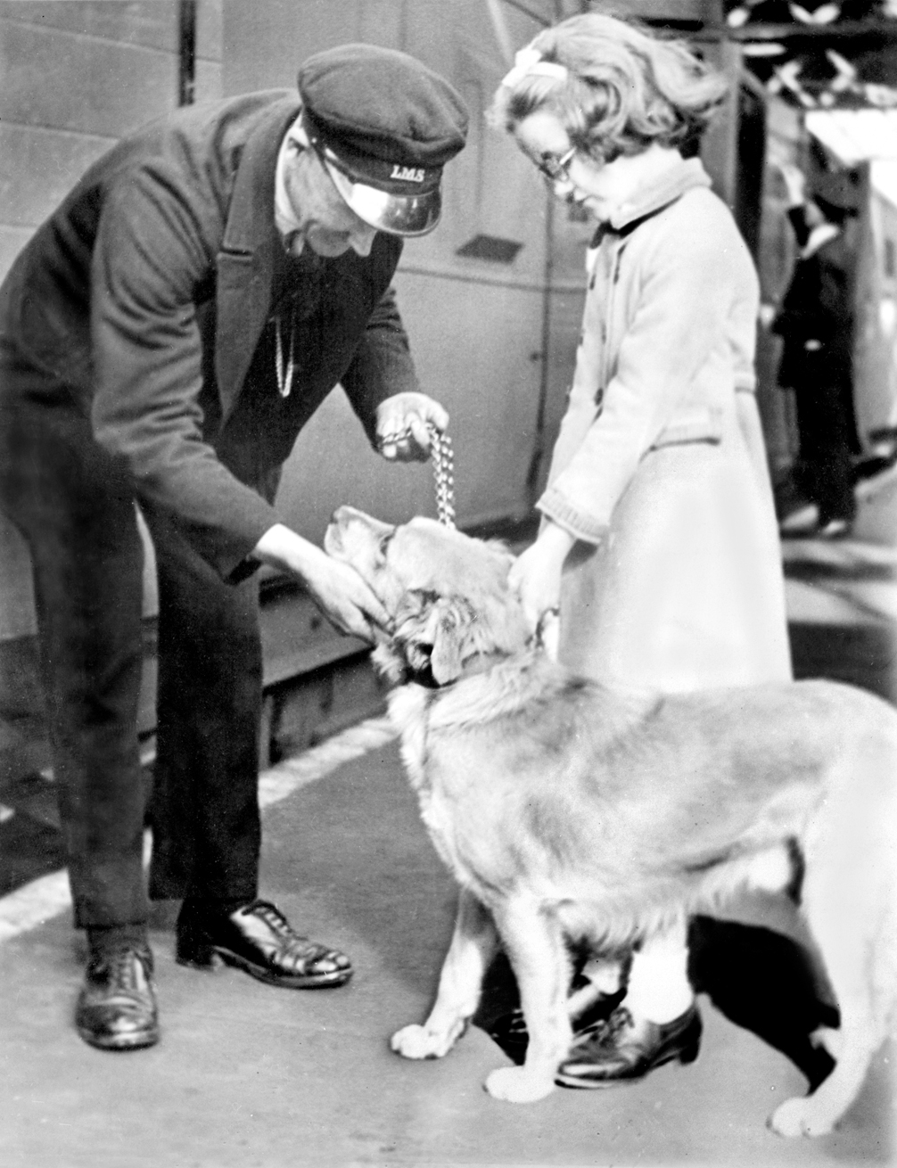 Dogs also lent station staff a helping hand during the Second World War. Lots of dogs like this one were used for war guard duties.