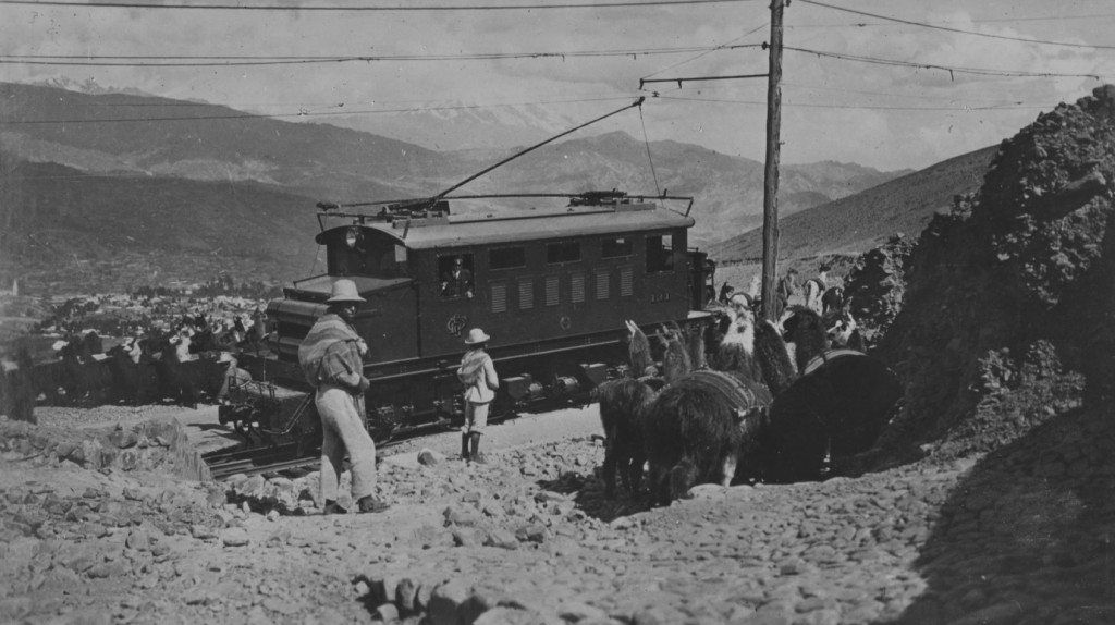 Shepherds and their herd watch the passage of an English Electric 1,100 volt 45 ton mixed traffic locomotive built for the Peruvian Corporation. [Ref: EE/1/25]