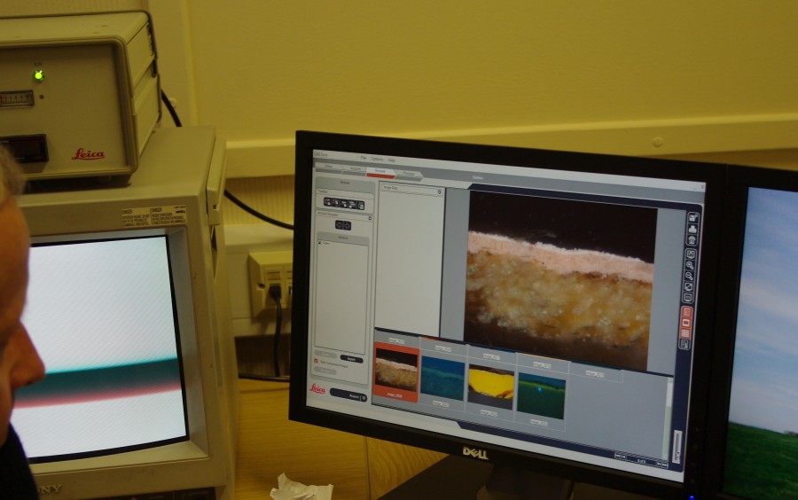 Paint analysis detail