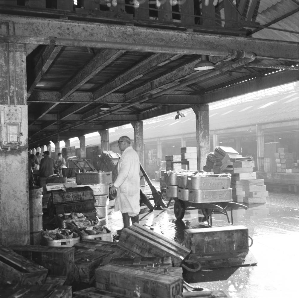 Fish at Grimsby docks