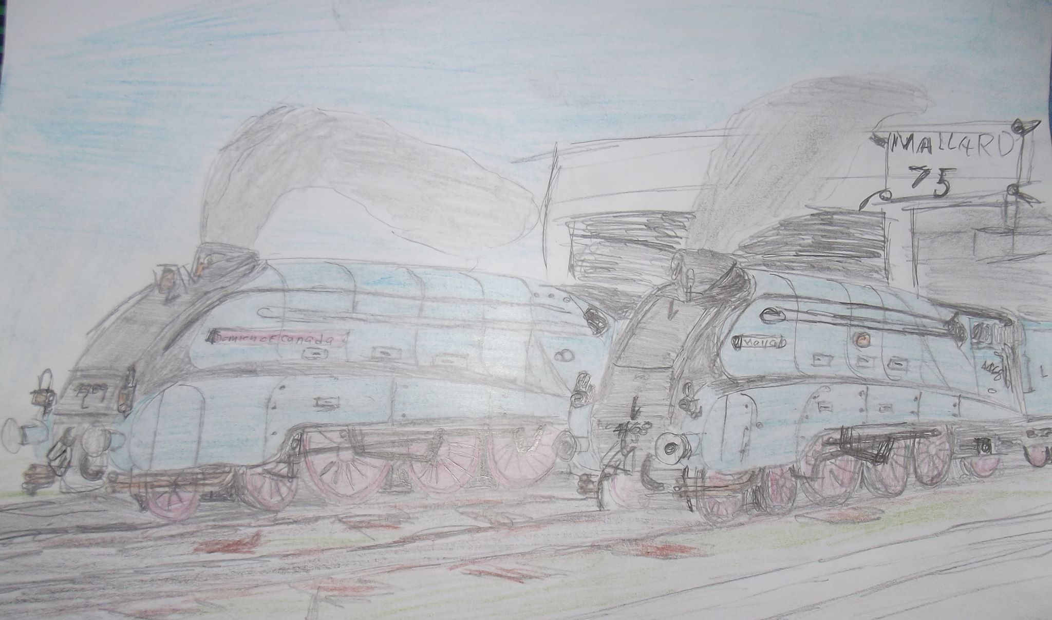 Daniel Sterland - Dominion of Canada and Mallard