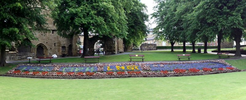 Mallard display at Knaresborough Castle