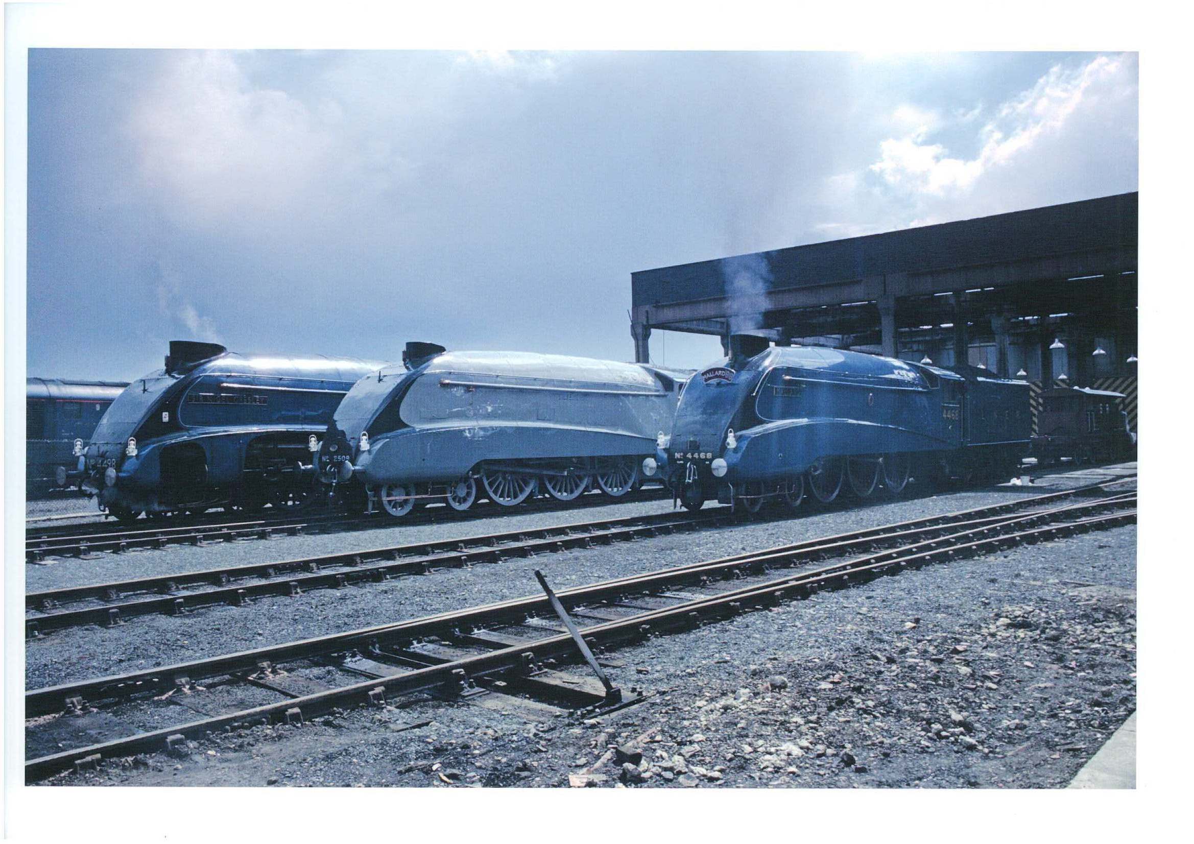 Mallard is displayed at Mallard 88 - the 50th anniversary with fellow A4s