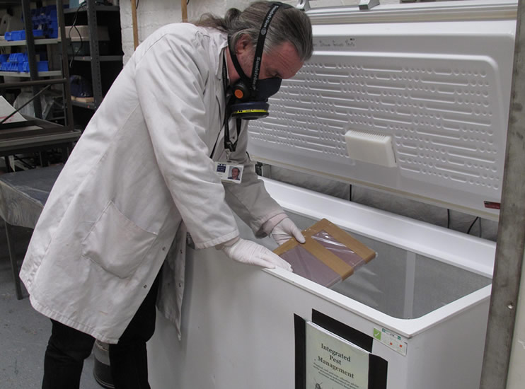 Into the freezer they go