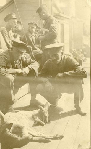 Image courtesy of John Patterson